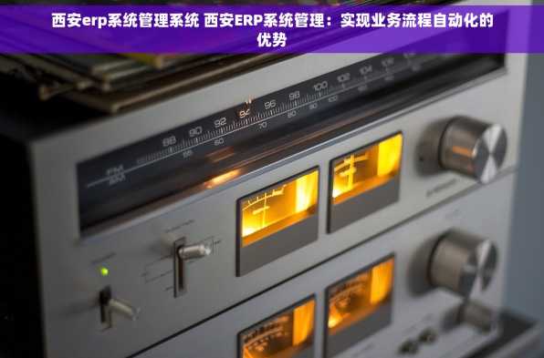 西安erp系统管理系统 西安ERP系统管理：实现业务流程自动化的优势
