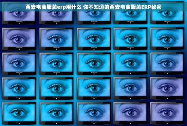 西安电商服装erp用什么 你不知道的西安电商服装ERP秘密