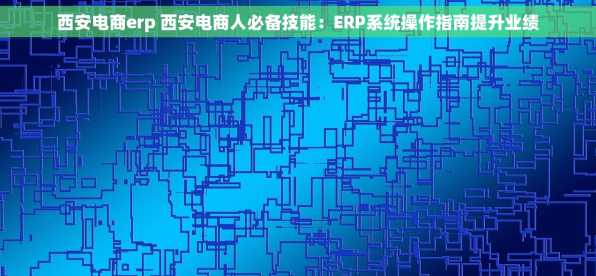 西安电商erp 西安电商人必备技能：ERP系统操作指南提升业绩