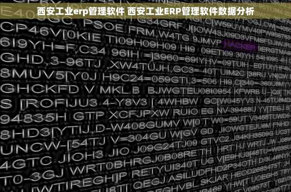 西安工业erp管理软件 西安工业ERP管理软件数据分析