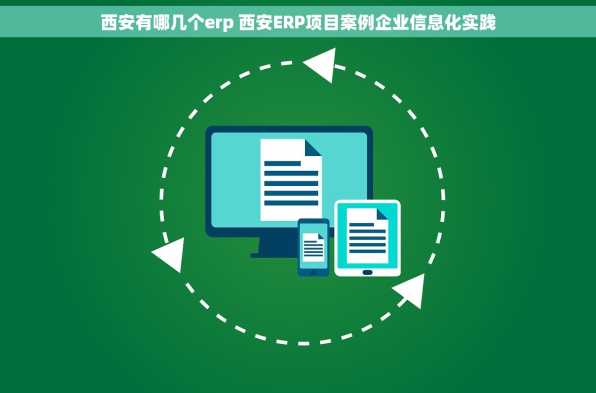 西安有哪几个erp 西安ERP项目案例企业信息化实践