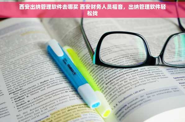 西安出纳管理软件去哪买 西安财务人员福音，出纳管理软件轻松找