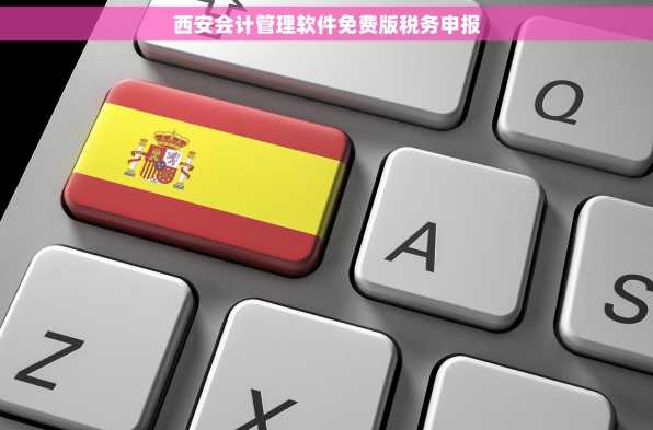 西安会计管理软件免费版税务申报