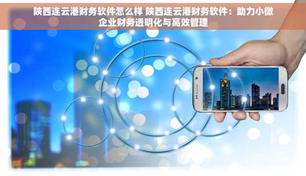 陕西连云港财务软件怎么样 陕西连云港财务软件：助力小微企业财务透明化与高效管理