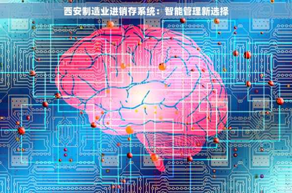 西安制造业进销存系统：智能管理新选择