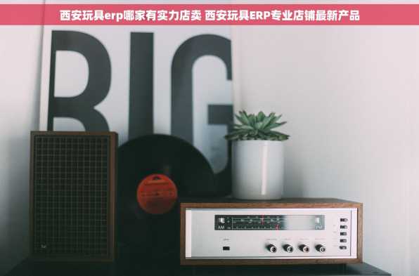 西安玩具erp哪家有实力店卖 西安玩具ERP专业店铺最新产品