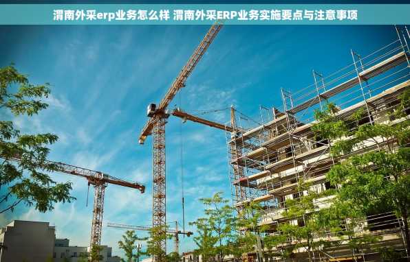 渭南外采erp业务怎么样 渭南外采ERP业务实施要点与注意事项