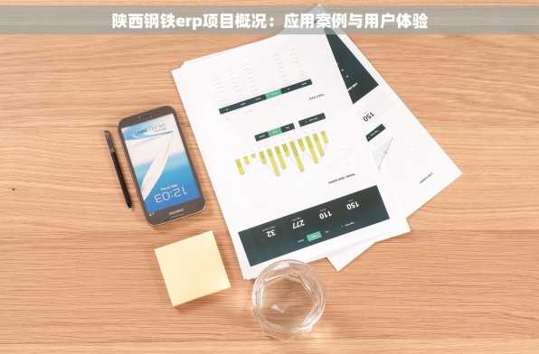 陕西钢铁erp项目概况：应用案例与用户体验
