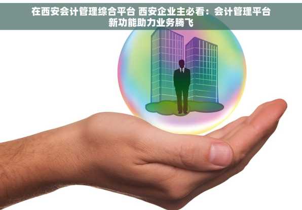 在西安会计管理综合平台 西安企业主必看：会计管理平台新功能助力业务腾飞