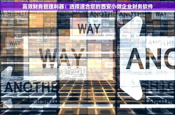 高效财务管理利器：选择适合您的西安小微企业财务软件