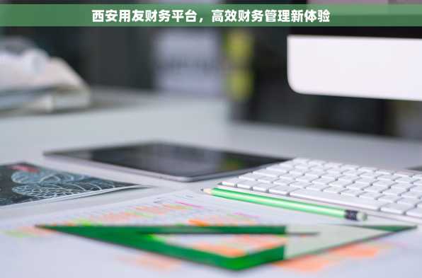 西安用友财务平台，高效财务管理新体验