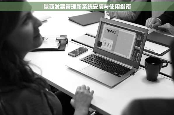 陕西发票管理新系统安装与使用指南