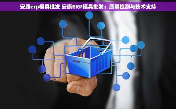 安康erp模具批发 安康ERP模具批发：质量检测与技术支持