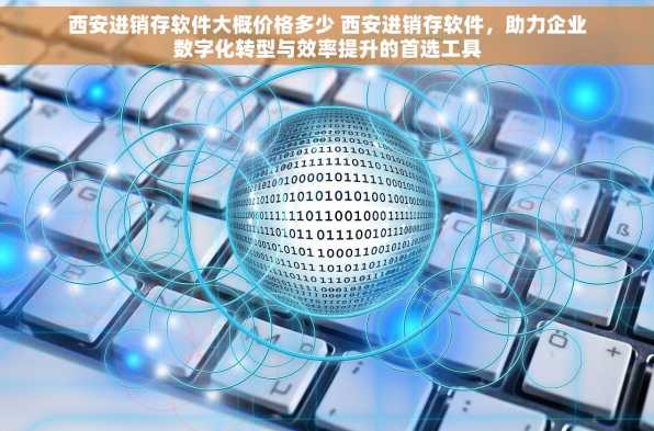 西安进销存软件大概价格多少 西安进销存软件，助力企业数字化转型与效率提升的首选工具