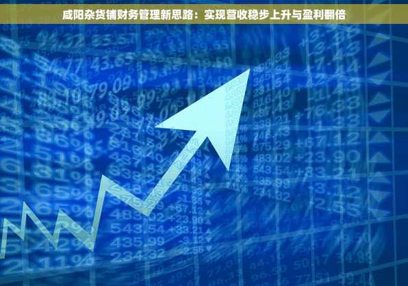 咸阳杂货铺财务管理新思路：实现营收稳步上升与盈利翻倍