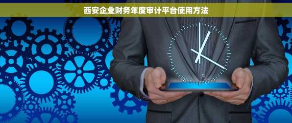 西安企业财务年度审计平台使用方法