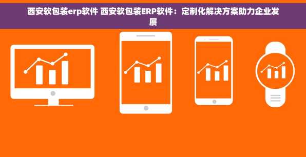 西安软包装erp软件 西安软包装ERP软件：定制化解决方案助力企业发展