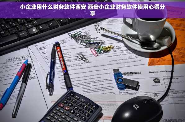 小企业用什么财务软件西安 西安小企业财务软件使用心得分享