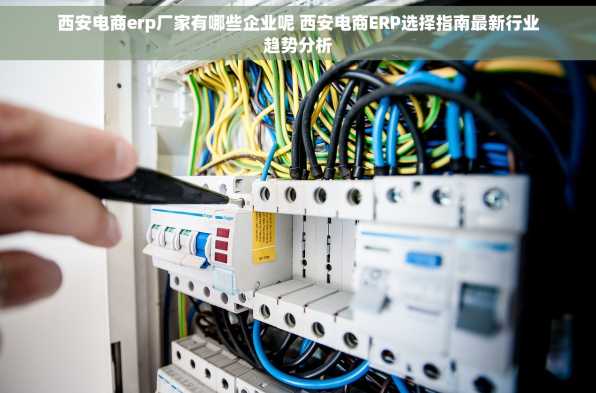 西安电商erp厂家有哪些企业呢 西安电商ERP选择指南最新行业趋势分析