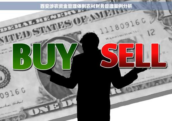 西安涉农资金管理体制农村财务管理案例分析