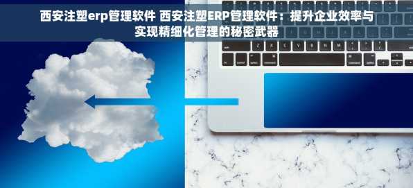 西安注塑erp管理软件 西安注塑ERP管理软件：提升企业效率与实现精细化管理的秘密武器