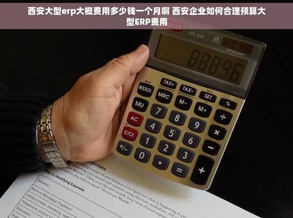 西安大型erp大概费用多少钱一个月啊 西安企业如何合理预算大型ERP费用