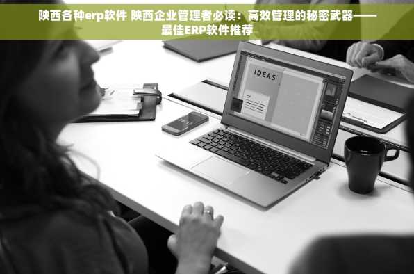 陕西各种erp软件 陕西企业管理者必读：高效管理的秘密武器——最佳ERP软件推荐