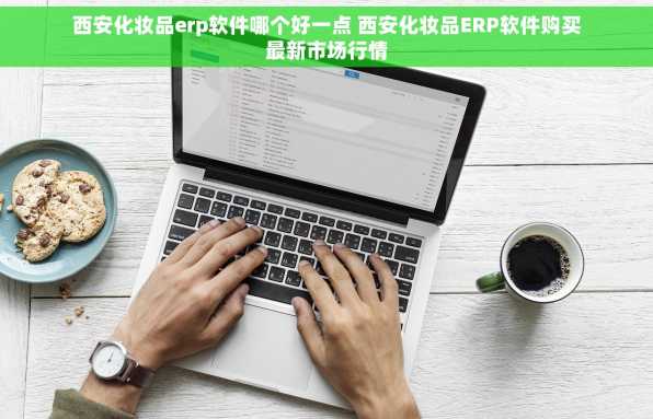 西安化妆品erp软件哪个好一点 西安化妆品ERP软件购买最新市场行情