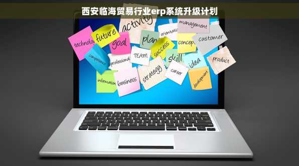 西安临海贸易行业erp系统升级计划