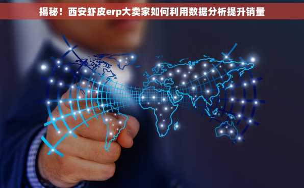 揭秘！西安虾皮erp大卖家如何利用数据分析提升销量