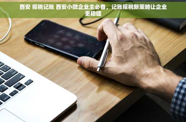 西安 报税记账 西安小微企业主必备，记账报税新策略让企业更稳健