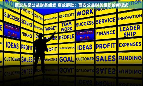 西安从是公益财务组织 高效筹款：西安公益财务组织的新模式