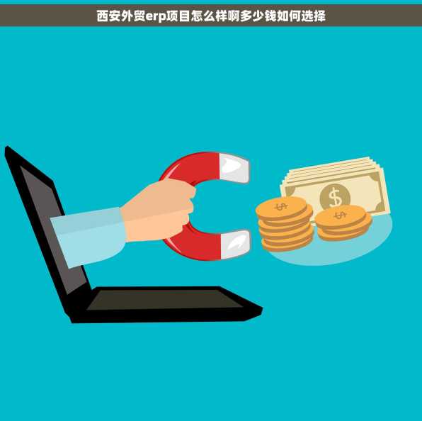西安外贸erp项目怎么样啊多少钱如何选择