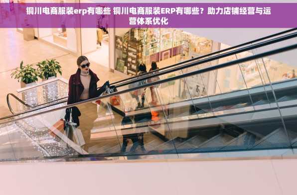 铜川电商服装erp有哪些 铜川电商服装ERP有哪些？助力店铺经营与运营体系优化