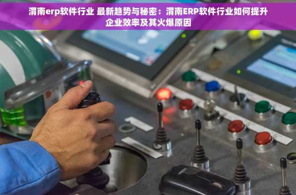 渭南erp软件行业 最新趋势与秘密：渭南ERP软件行业如何提升企业效率及其火爆原因