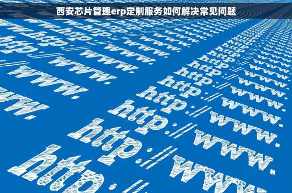 西安芯片管理erp定制服务如何解决常见问题