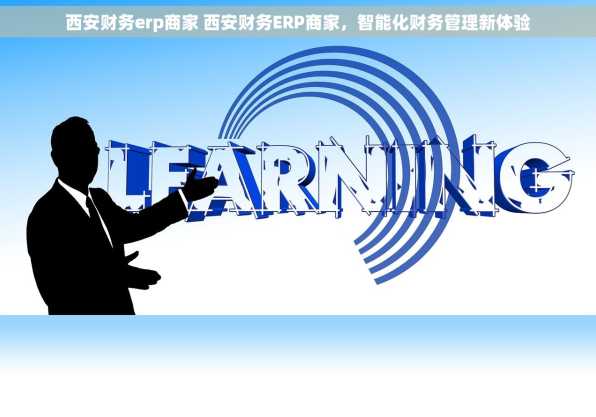西安财务erp商家 西安财务ERP商家，智能化财务管理新体验