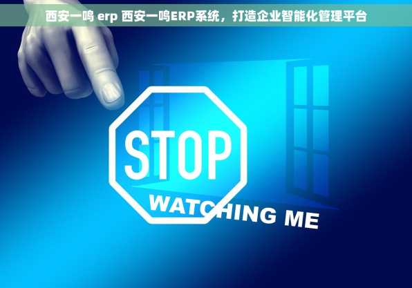 西安一鸣 erp 西安一鸣ERP系统，打造企业智能化管理平台