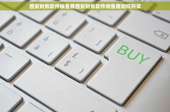 西安财务软件销售商西安财务软件销售商如何购买