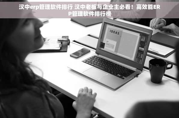 汉中erp管理软件排行 汉中老板与企业主必看！高效能ERP管理软件排行榜