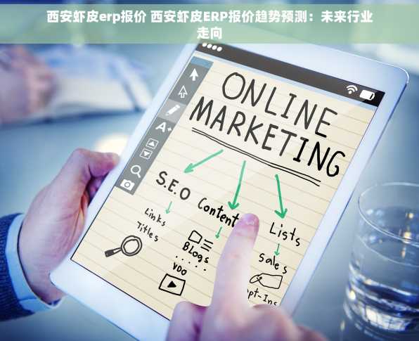 西安虾皮erp报价 西安虾皮ERP报价趋势预测：未来行业走向