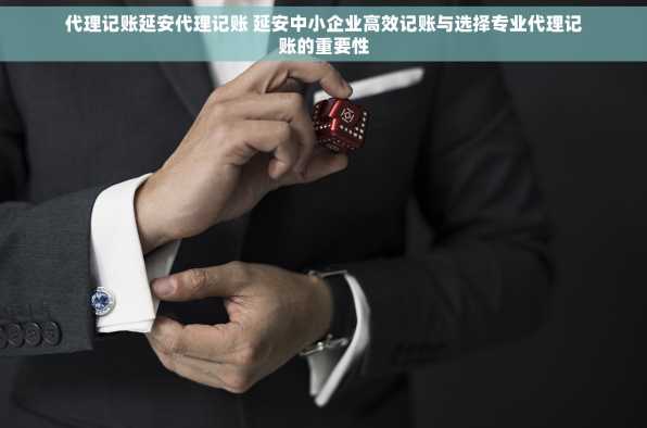 代理记账延安代理记账 延安中小企业高效记账与选择专业代理记账的重要性