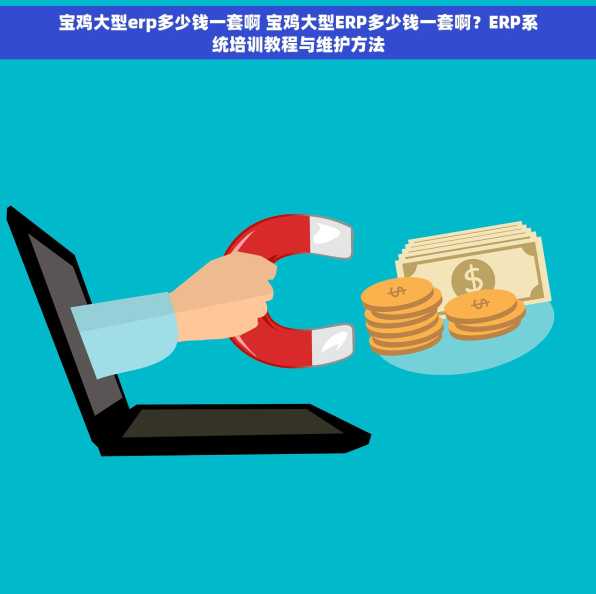 宝鸡大型erp多少钱一套啊 宝鸡大型ERP多少钱一套啊？ERP系统培训教程与维护方法