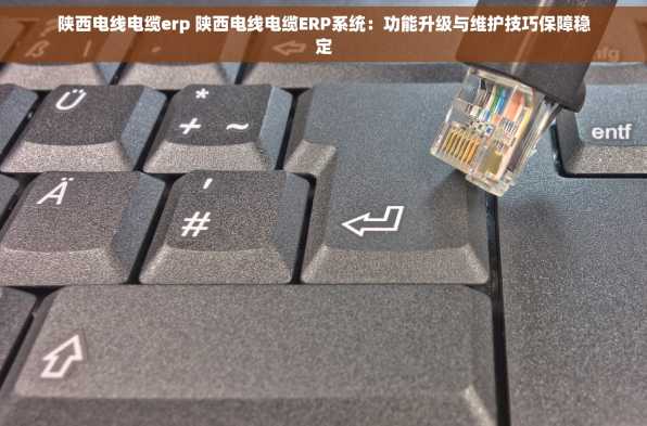 陕西电线电缆erp 陕西电线电缆ERP系统：功能升级与维护技巧保障稳定