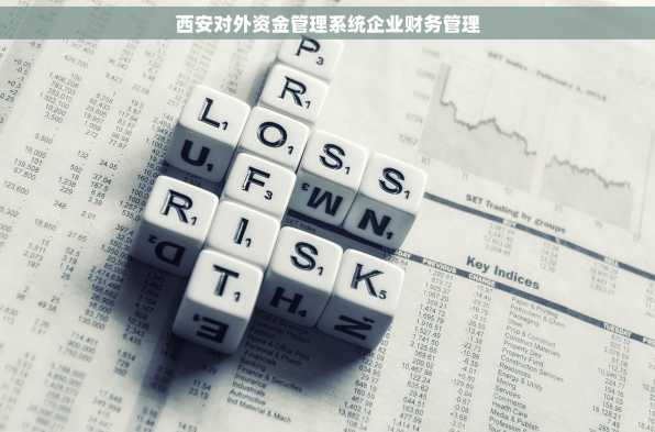 西安对外资金管理系统企业财务管理