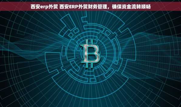 西安erp外贸 西安ERP外贸财务管理，确保资金流转顺畅