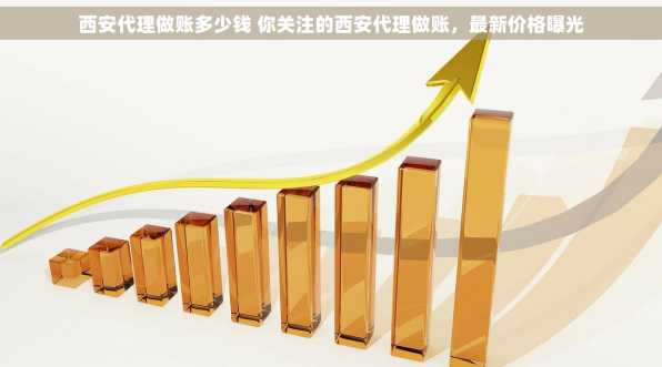 西安代理做账多少钱 你关注的西安代理做账，最新价格曝光