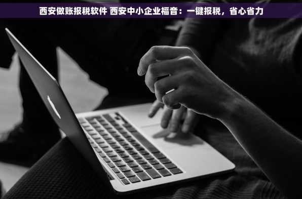 西安做账报税软件 西安中小企业福音：一键报税，省心省力