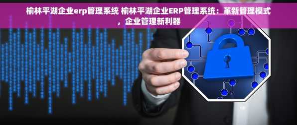 榆林平湖企业erp管理系统 榆林平湖企业ERP管理系统：革新管理模式，企业管理新利器