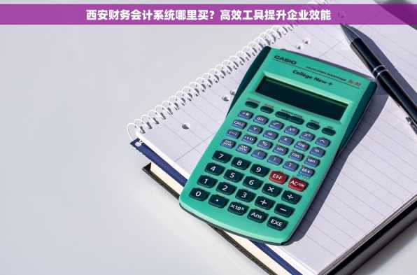 西安财务会计系统哪里买？高效工具提升企业效能